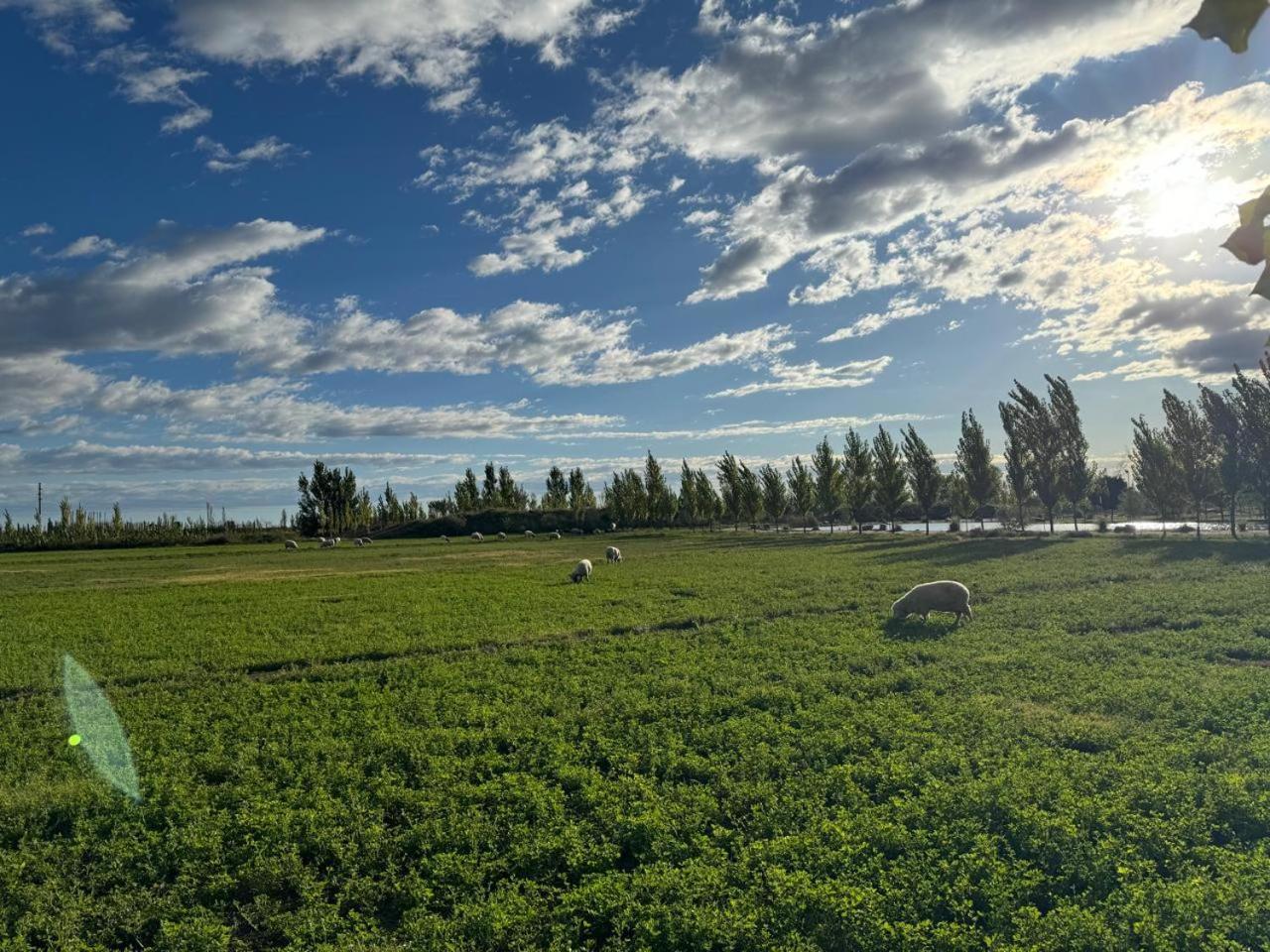 Complejo Koi Lägenhet General Alvear  Exteriör bild