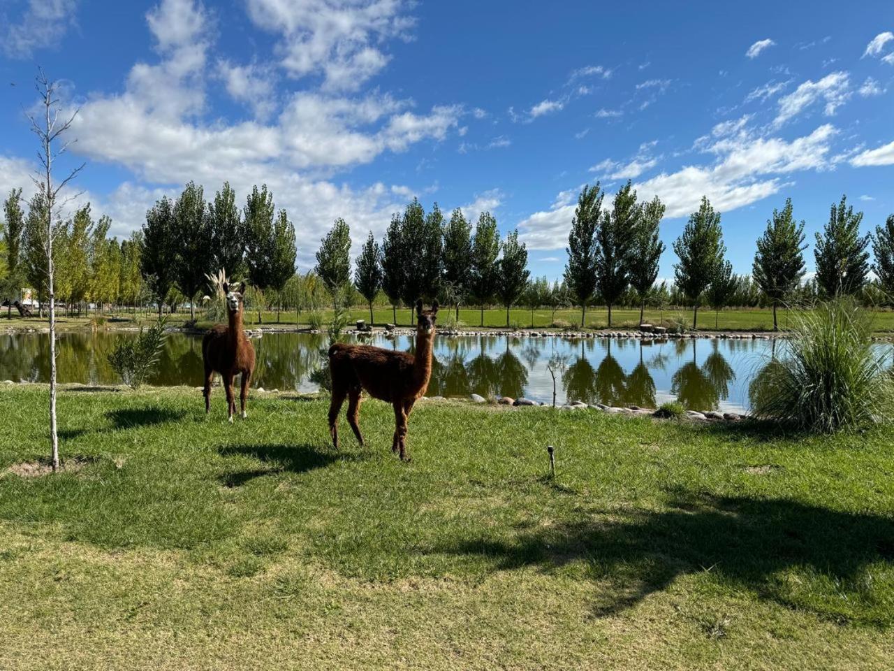 Complejo Koi Lägenhet General Alvear  Exteriör bild